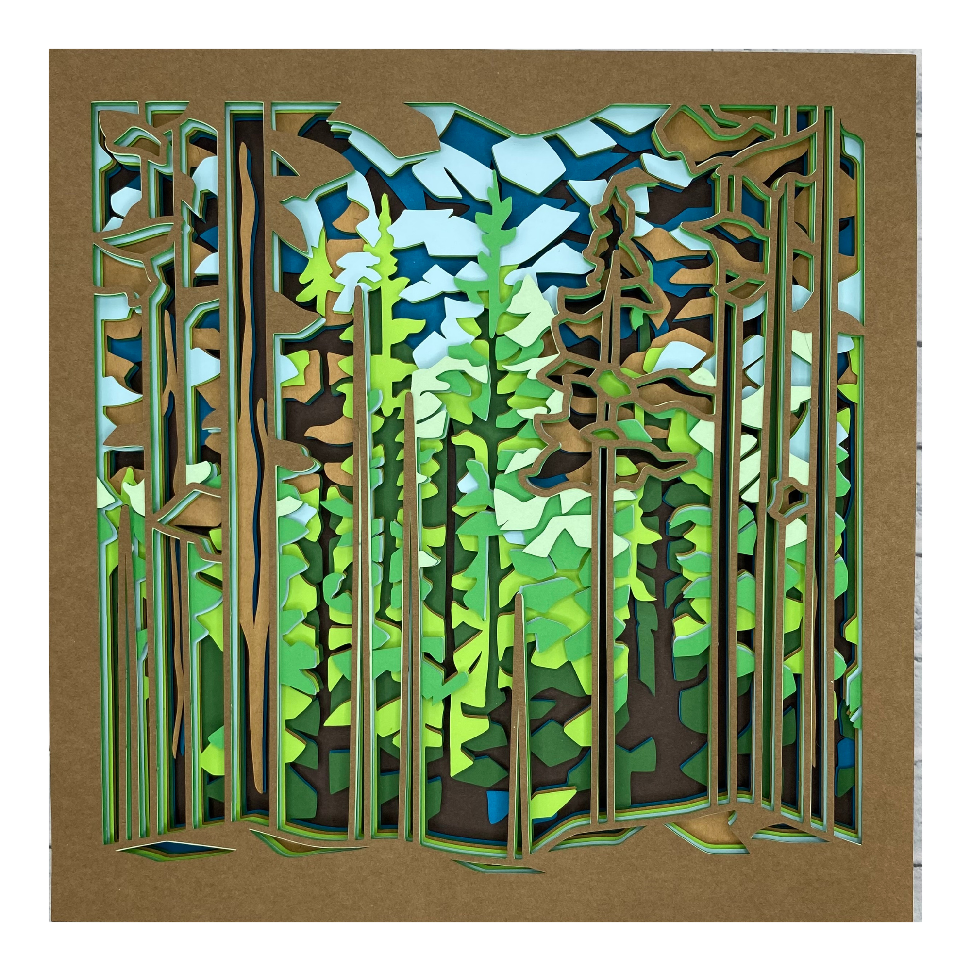 Forest & Trees