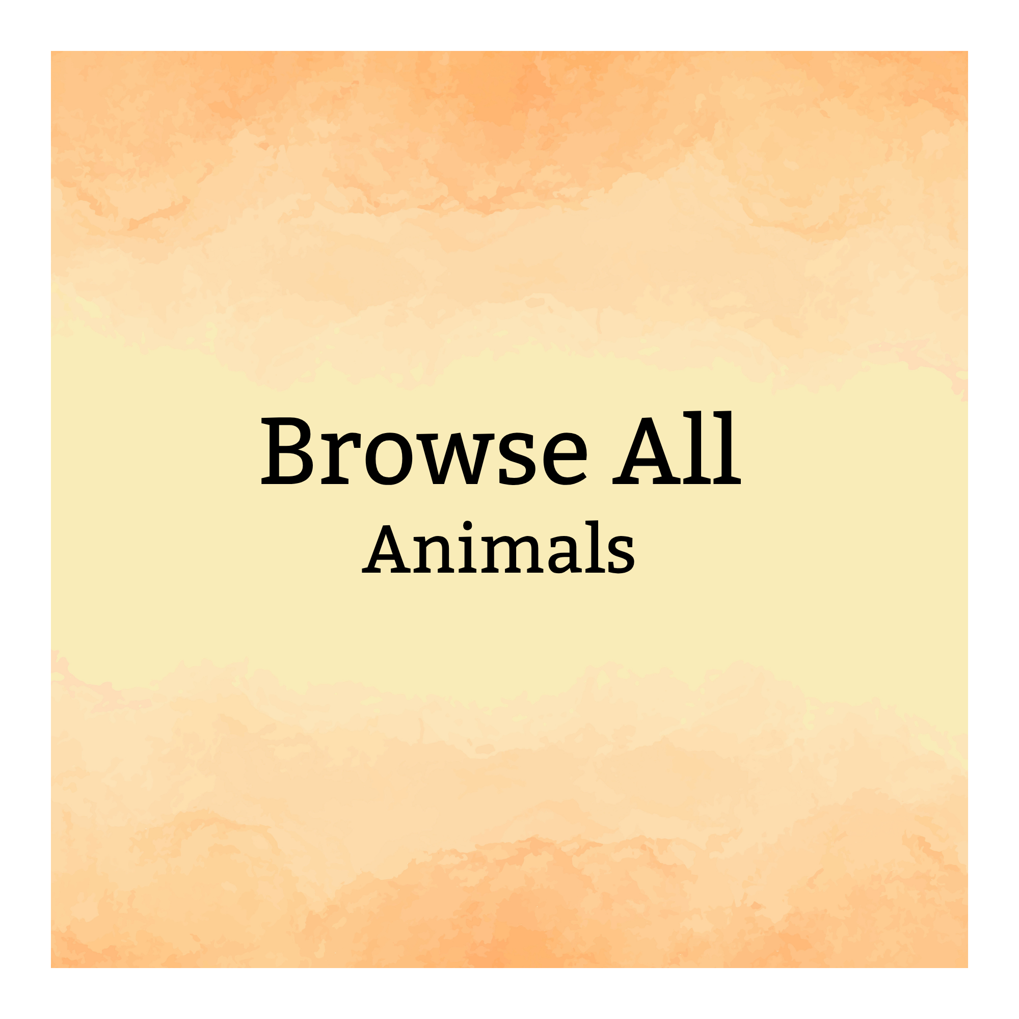 Browse All Animals
