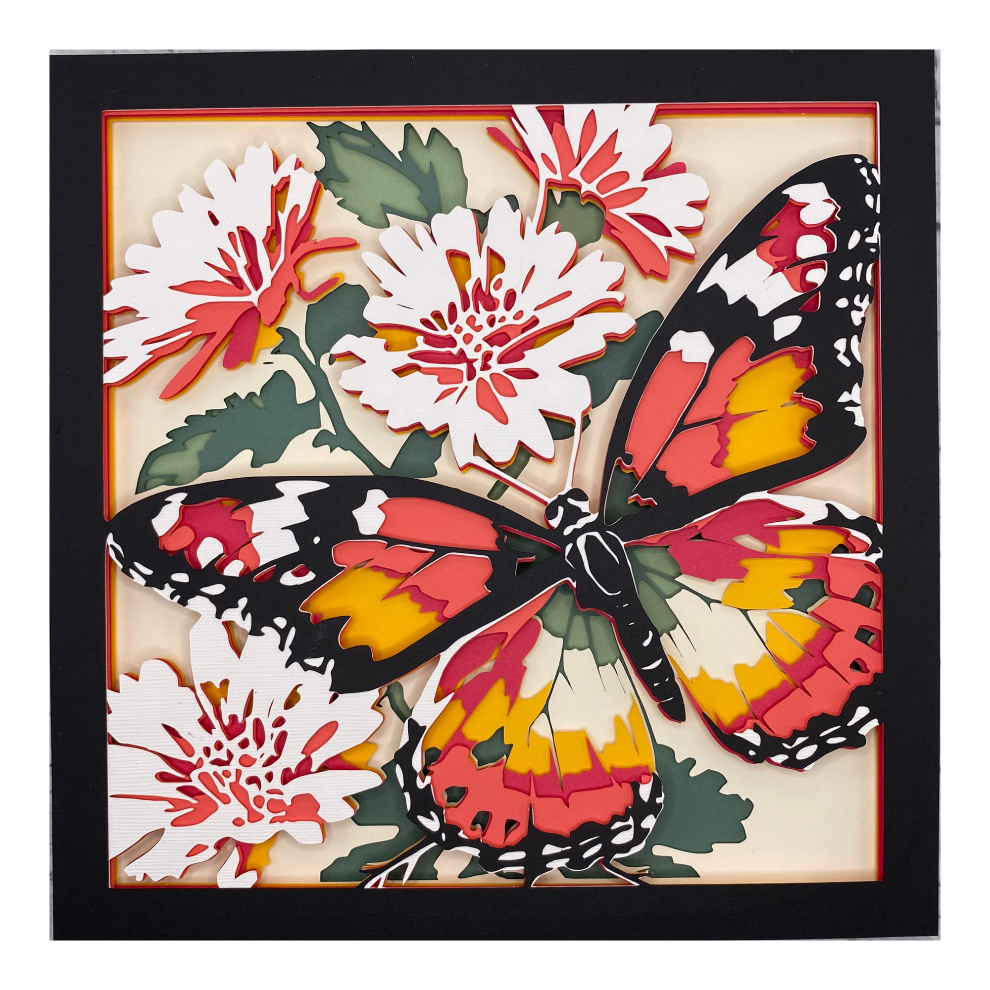Insects