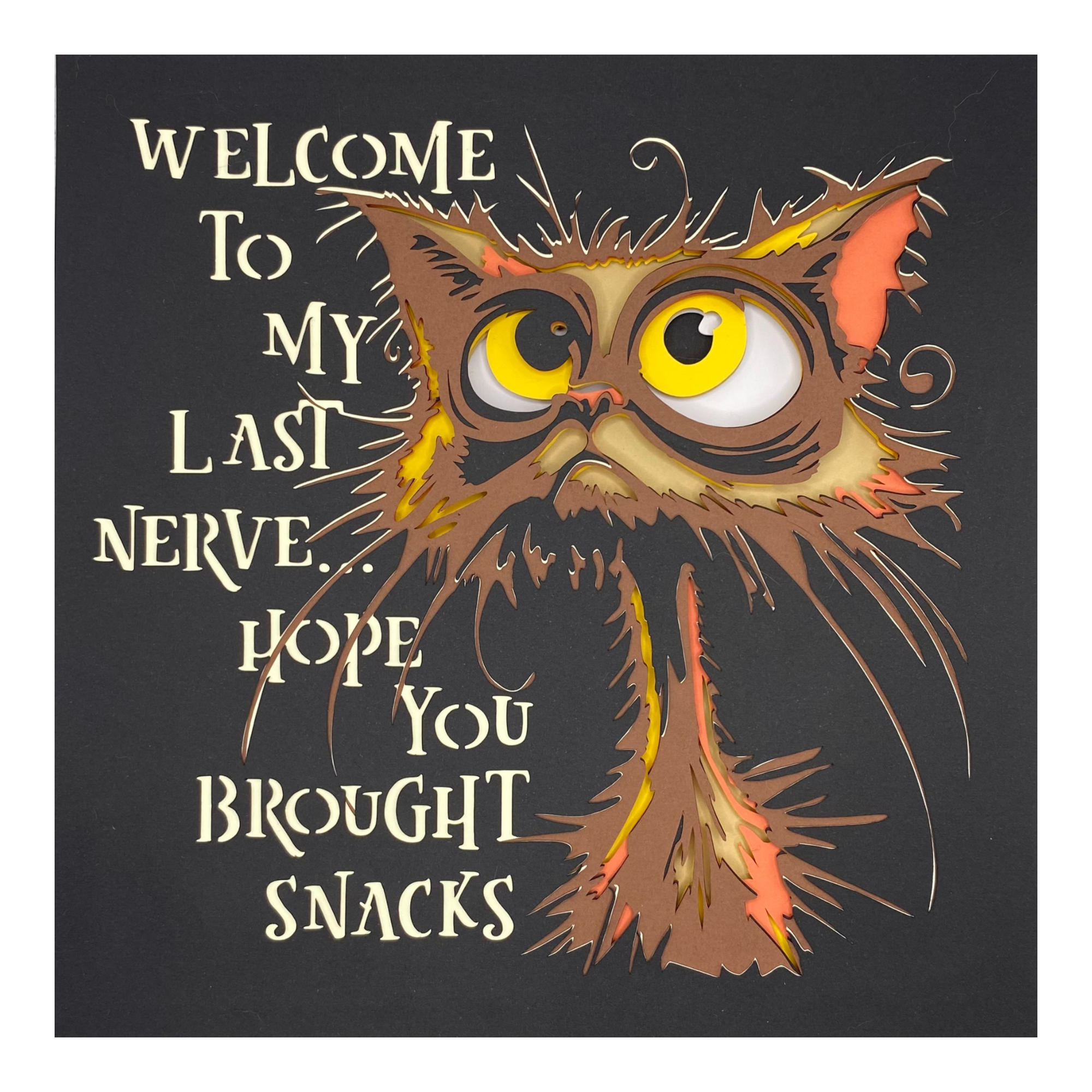 Frazzled Cat