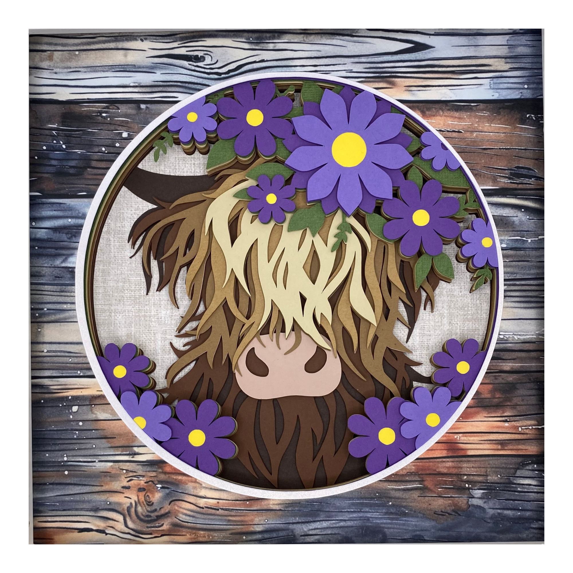 Highland Cow