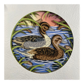 Ducks in a Pond