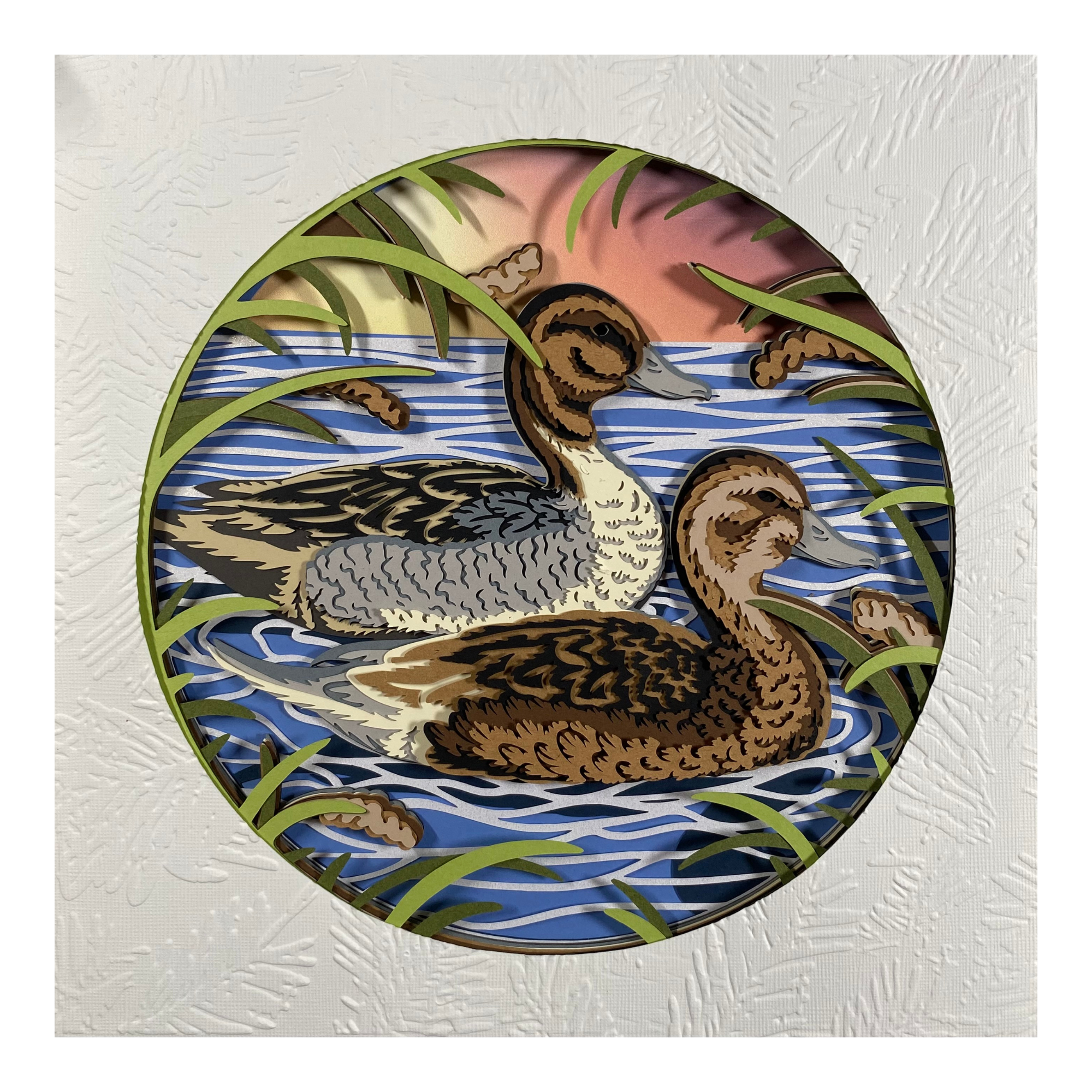Ducks in a Pond
