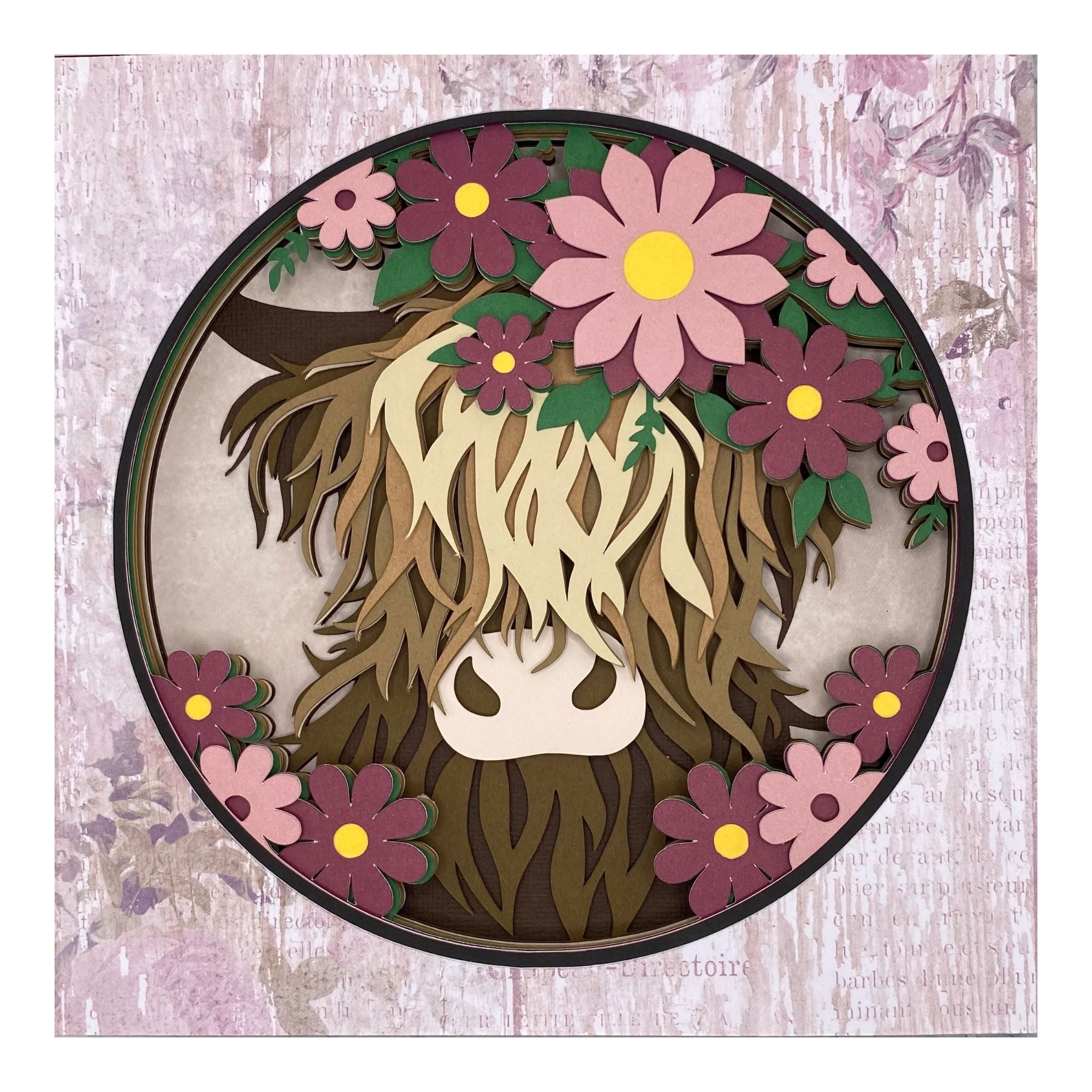 Highland Cow