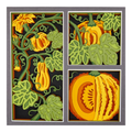 Layered cardstock shadowbox